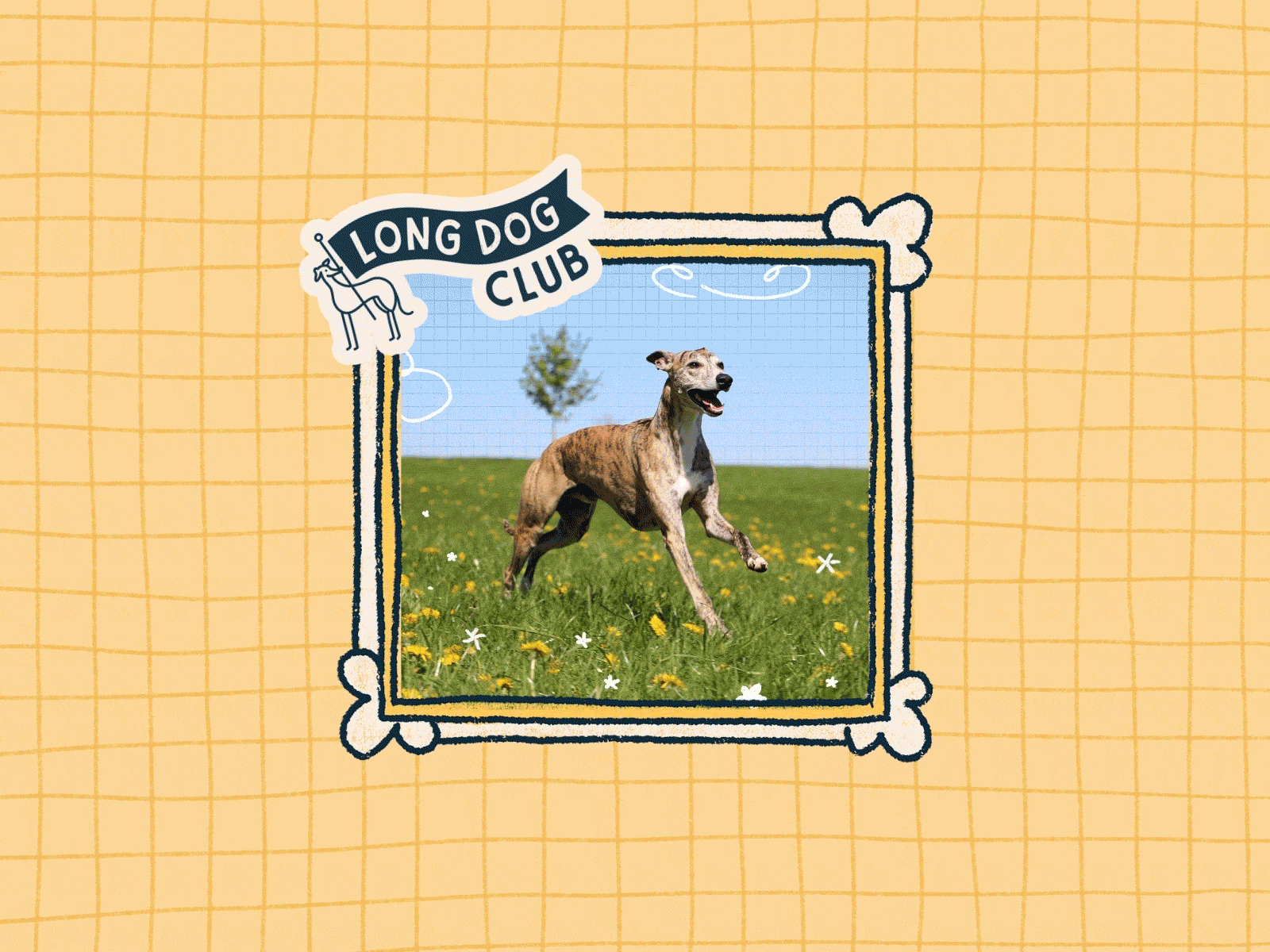 Graphic design for greyhound organisation, Long Dog Club Designs by Kayley Woods for Long Dog Club, showing greyhound merch, website design and prints.